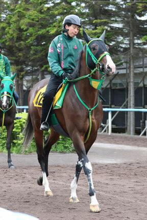 【函館スプリントＳ】アサカラキングは斎藤新騎手を背に競馬モード　鞍上「行きっぷりが良かった」