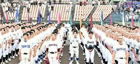 第106回全国高校野球選手権栃木大会　56チームの熱戦が開幕の画像